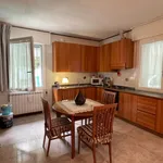 Rent 2 bedroom student apartment of 50 m² in Venezia