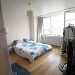 Huur 3 slaapkamer appartement van 1 m² in Wemmel