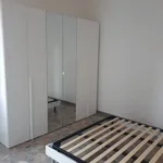 Rent 5 bedroom apartment of 100 m² in Bologna