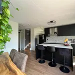 Rent 4 bedroom house of 106 m² in Hoogvliet Zuid