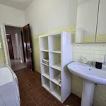 Rent 1 bedroom apartment of 110 m² in modena