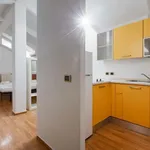 Rent 1 bedroom apartment of 33 m² in Milan