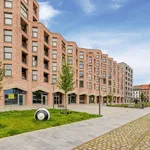 Rent 2 bedroom apartment in Antwerpen