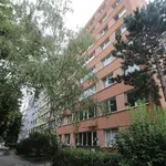 Rent 2 bedroom apartment of 42 m² in Prague