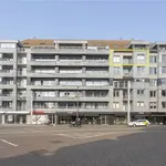 Rent 1 bedroom apartment in BLANKENBERGE