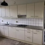 Huur 4 slaapkamer appartement van 94 m² in Delft