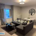 Rent 2 bedroom apartment of 65 m² in Turin