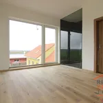 Rent 1 bedroom house of 420 m² in Vřesovice