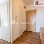 Rent 2 bedroom apartment of 41 m² in Rakovník