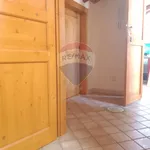 Rent 1 bedroom apartment of 51 m² in Catania