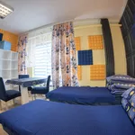 Rent 1 bedroom apartment of 12 m² in Bielsko-Biała