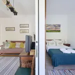 Rent 1 bedroom apartment of 50 m² in lisbon