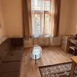 Rent 1 bedroom apartment of 44 m² in Capital City of Prague