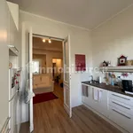 Rent 2 bedroom apartment of 45 m² in Turin