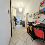 Rent 2 bedroom apartment of 57 m² in Firenze