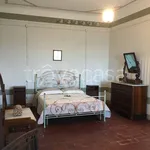 Rent 2 bedroom apartment of 30 m² in Montopoli in Val d'Arno