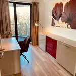 Rent 1 bedroom apartment of 81 m² in Dusseldorf