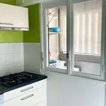 Rent 4 bedroom apartment of 72 m² in Lyon