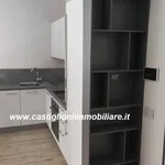 Rent 2 bedroom apartment of 58 m² in Magenta