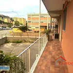 Rent 3 bedroom apartment of 80 m² in Genoa