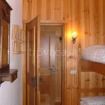 Rent 3 bedroom apartment of 55 m² in San Vito di Cadore