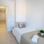 Rent 5 bedroom apartment in Valencia