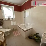 Rent 4 bedroom apartment of 100 m² in Prague