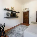 Rent 1 bedroom apartment in Florence