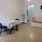 Rent 1 bedroom apartment of 40 m² in Torino