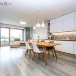 Rent 3 bedroom apartment of 87 m² in Trhový Štěpánov