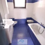 Rent 3 bedroom apartment of 70 m² in Alba