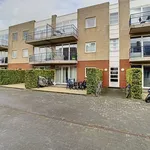 Rent 1 bedroom apartment in Ghent