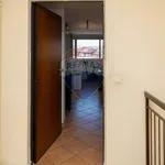 Rent 6 bedroom apartment of 190 m² in Catania