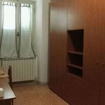 Rent a room in Perugia