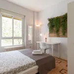 Alquilar 7 dormitorio apartamento en Madrid