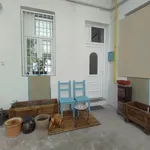 Rent 2 bedroom apartment of 60 m² in Budapest