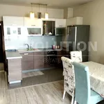 Rent 3 bedroom apartment of 85 m² in Южен