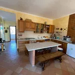 Rent 4 bedroom house of 129 m² in Roma