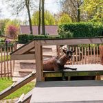 Huur 4 slaapkamer huis in Lochem