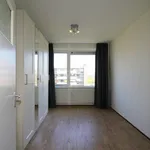 Rent 4 bedroom apartment in The Hague