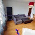 Rent 1 bedroom apartment in Grenoble