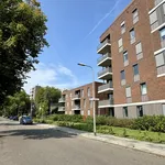 Rent 2 bedroom apartment of 66 m² in Nijmegen