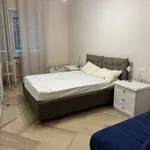 Rent 3 bedroom apartment of 17 m² in Roma