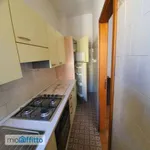 Rent 3 bedroom apartment of 75 m² in Bologna