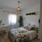 Rent 3 bedroom apartment in Madrid