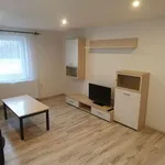 Rent 1 bedroom house in Staré Hradiště