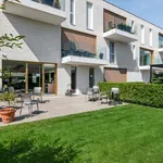 Rent 1 bedroom apartment in Kapellen