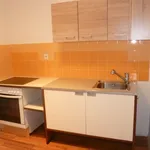 Rent 1 bedroom apartment of 40 m² in Vienna