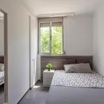 Rent 4 bedroom apartment in Valencia