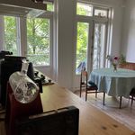 Rent 1 bedroom apartment in Amsterdam